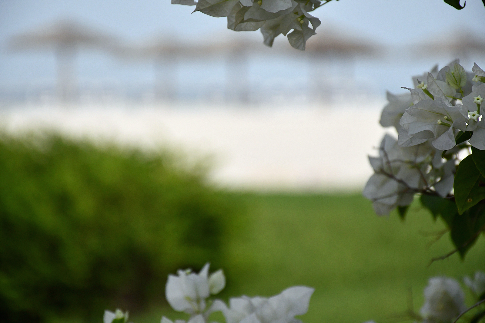 Wspomnienie wakacji 2019