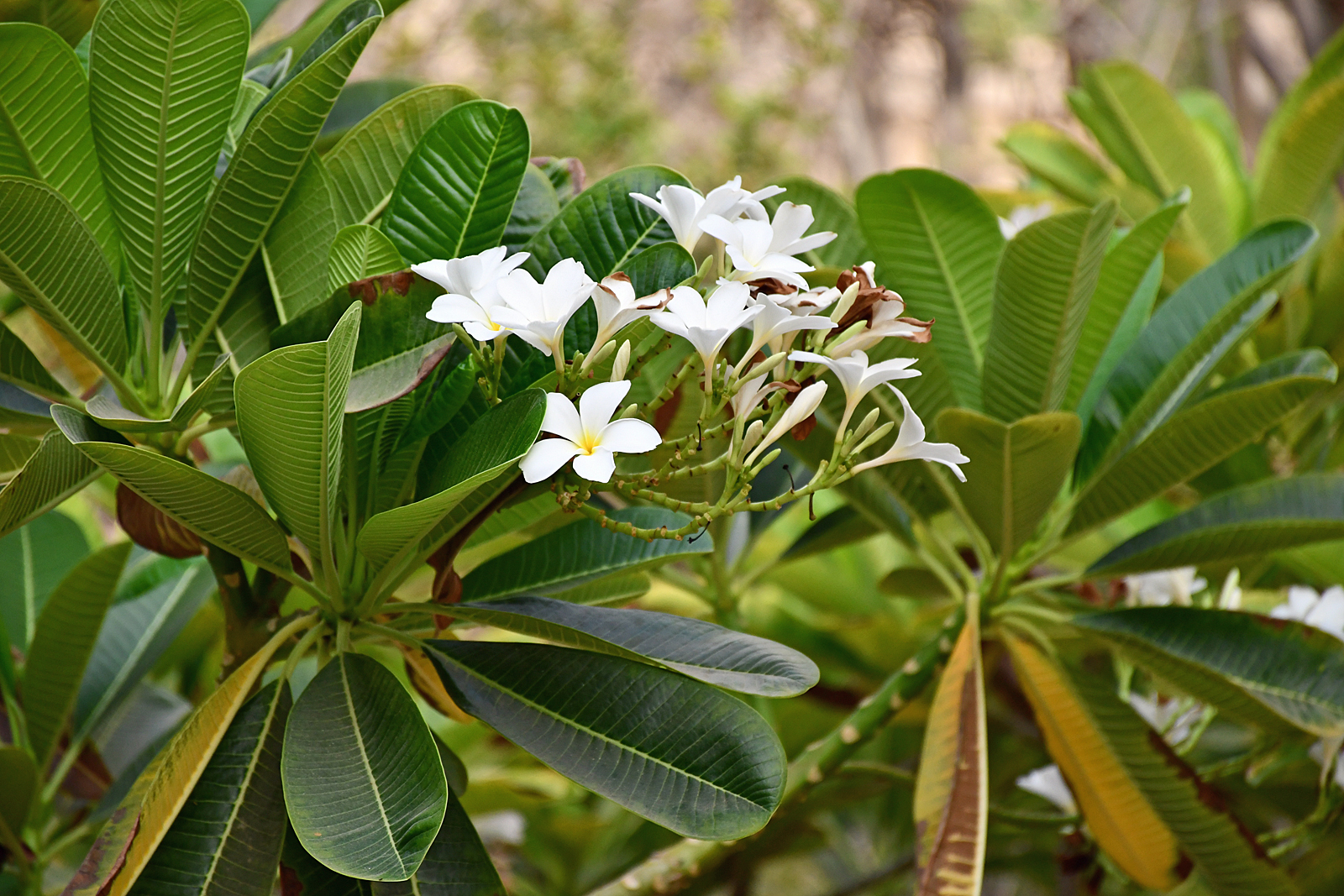 Wspomnienie wakacji 2019