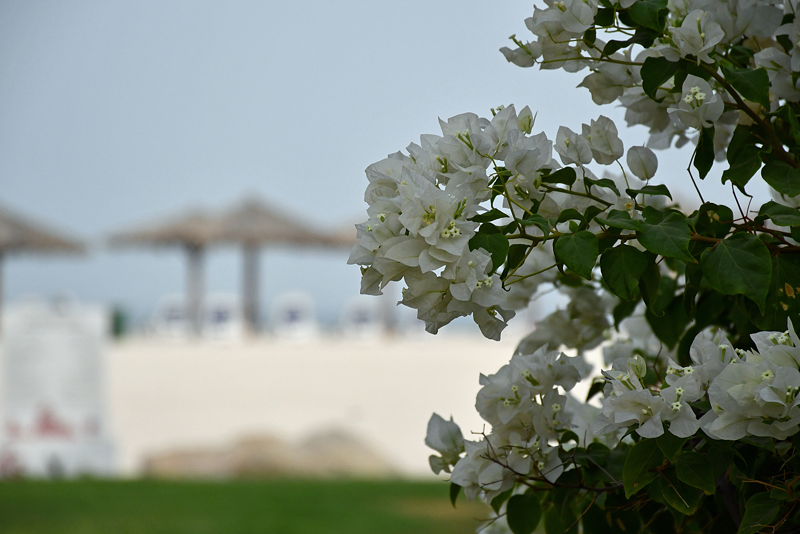 Wspomnienie wakacji 2019