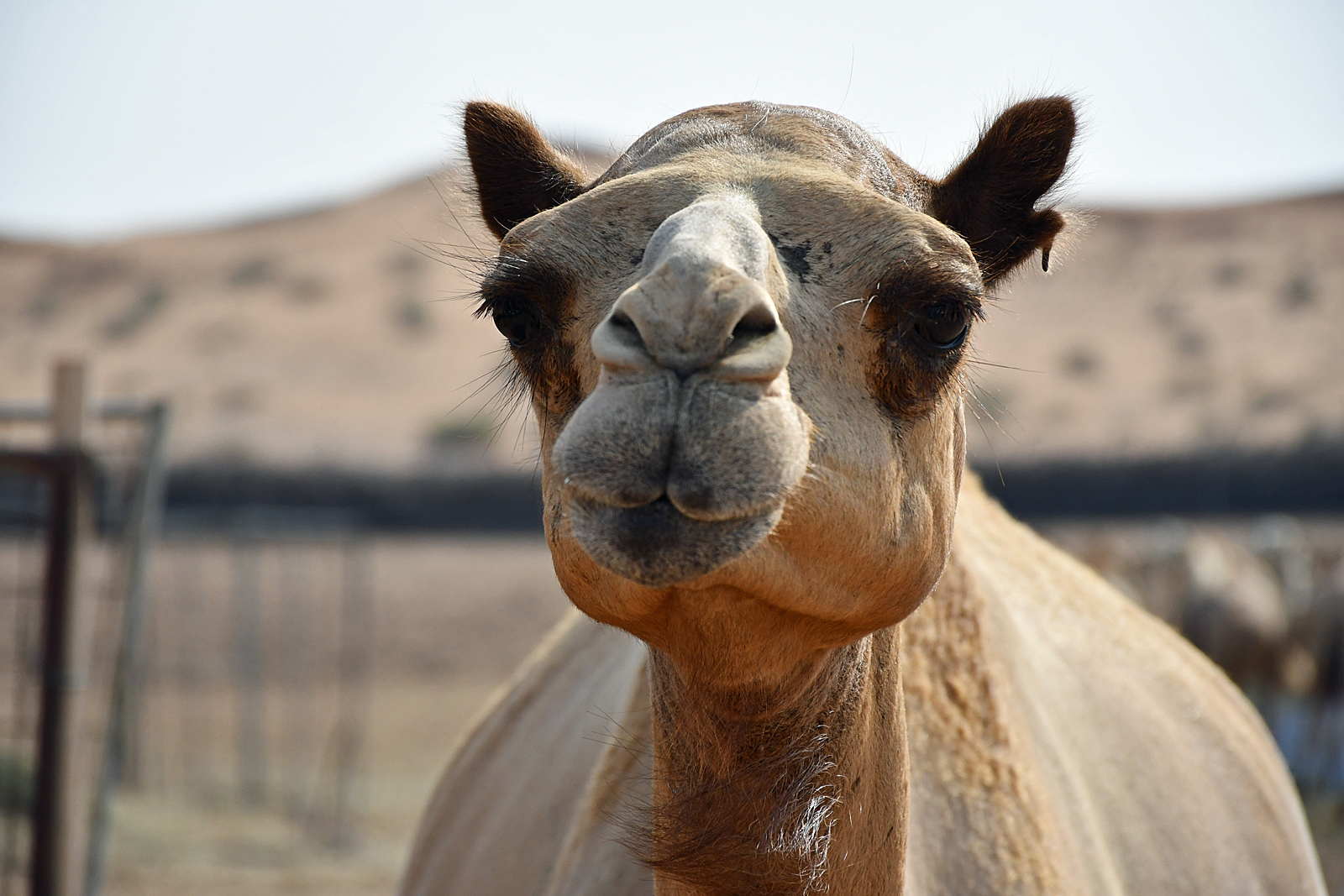 Wspomnienie wakacji 2019