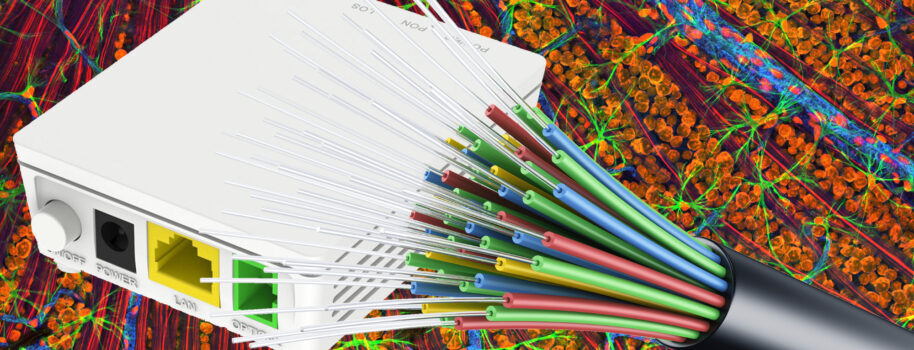 Internet światłowodowy FTTH i ONT