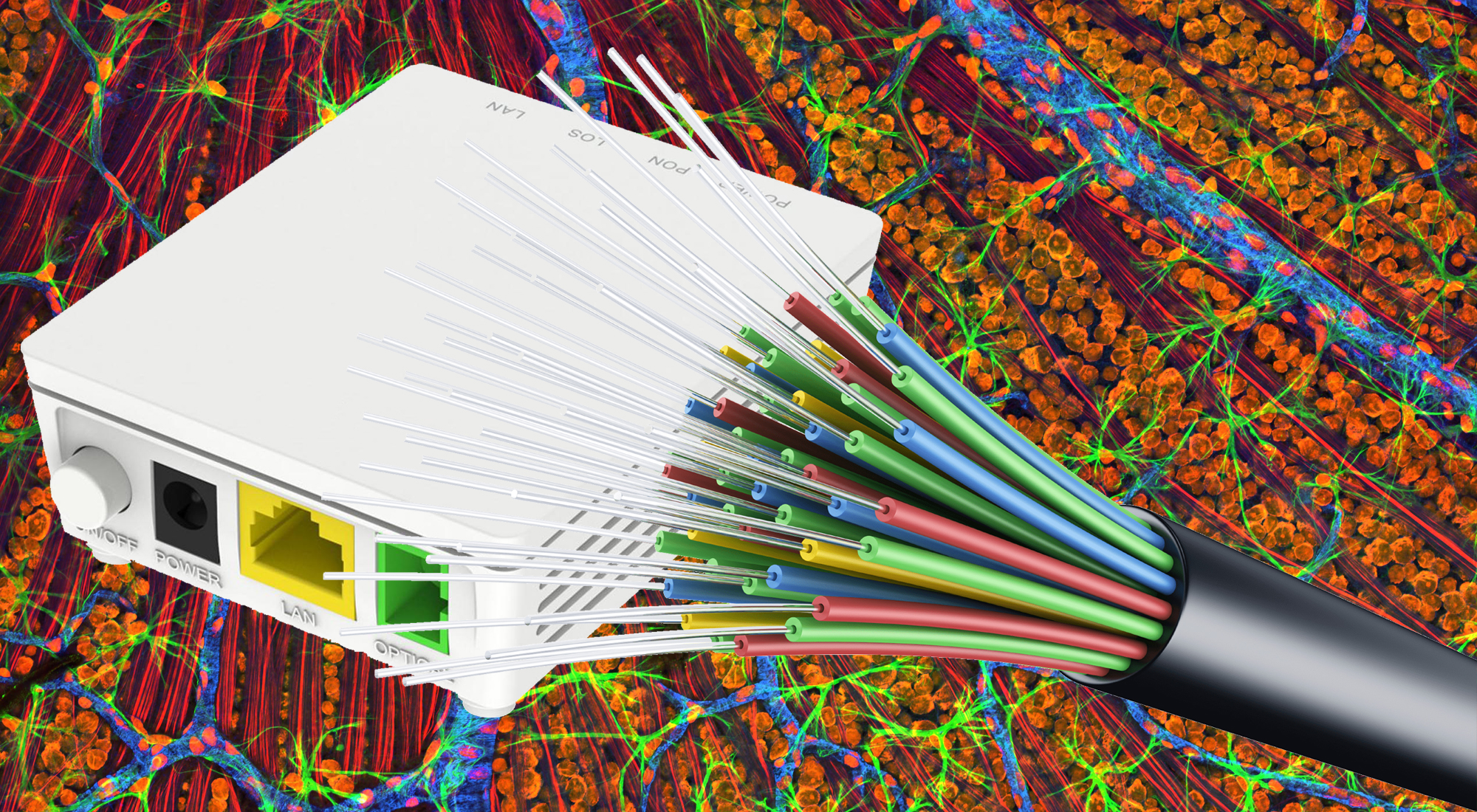 Internet światłowodowy FTTH i ONT